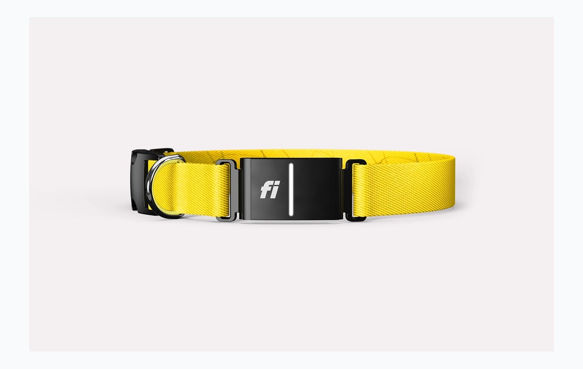 Fi Series 3+ Smart Dog Collar