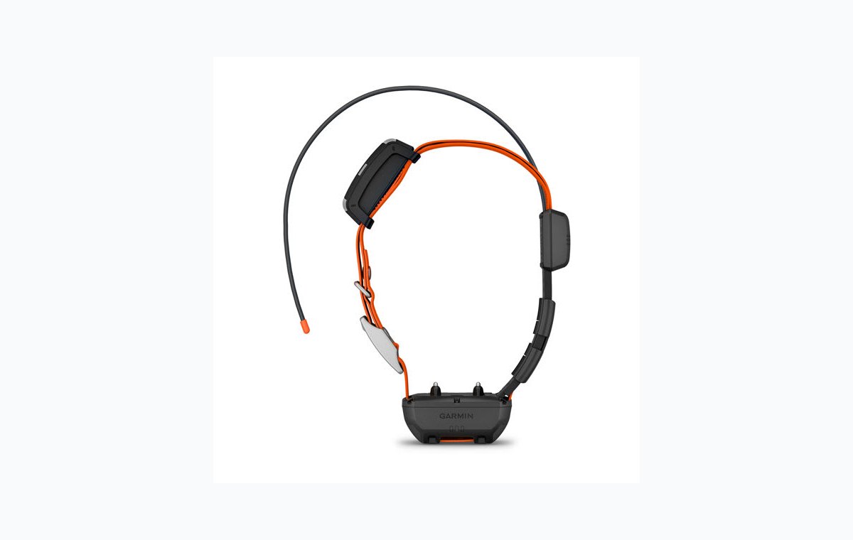 Garmin Alpha TT 25 dog collar